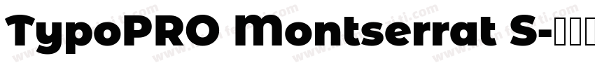 TypoPRO Montserrat S字体转换